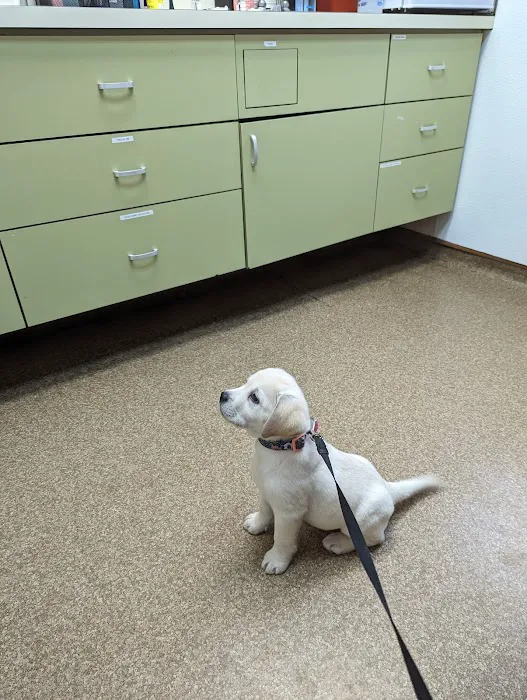 Malvern Veterinary Hospital Picture 4