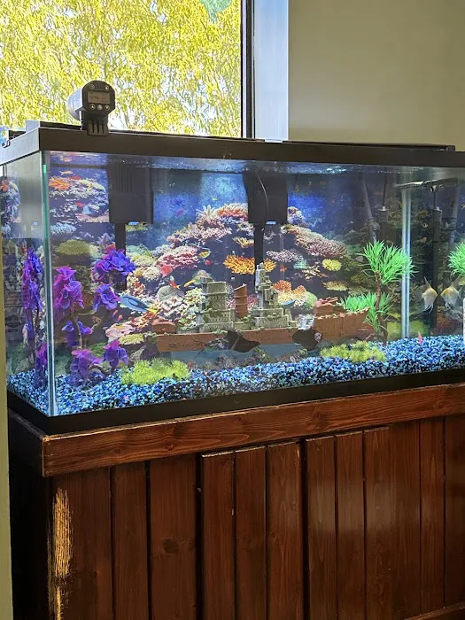 Anchor Aquarium Freshwater Fish & Maintenance Picture 2