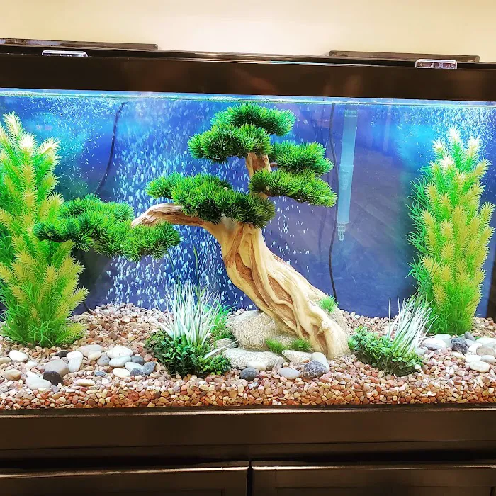 Anchor Aquarium Freshwater Fish & Maintenance Picture 7