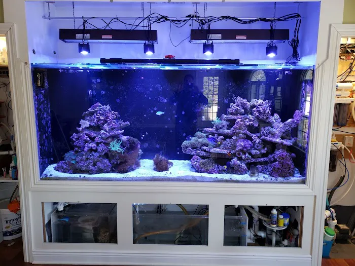 Anchor Aquarium Freshwater Fish & Maintenance Picture 9