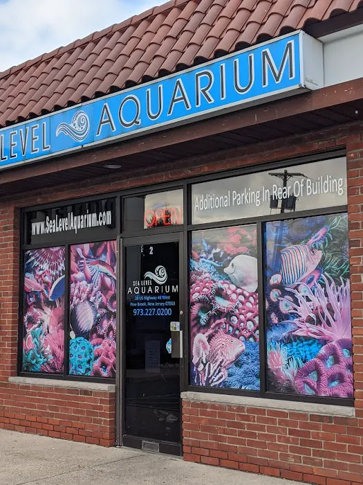 Sea Level Aquarium Picture 2