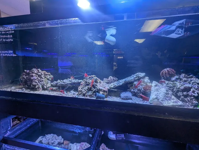 Sea Level Aquarium Picture 1