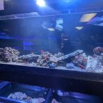 Sea Level Aquarium