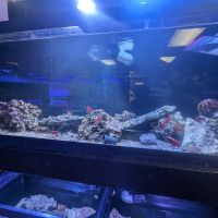 Sea Level Aquarium ico