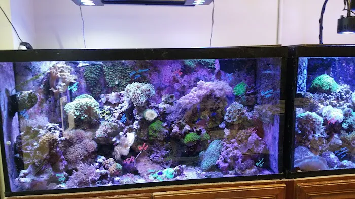Sea Level Aquarium Picture 8
