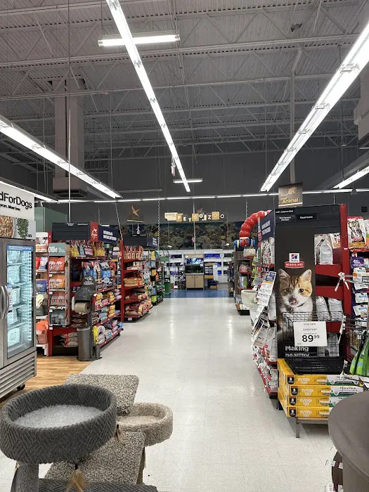 Petco Picture 5
