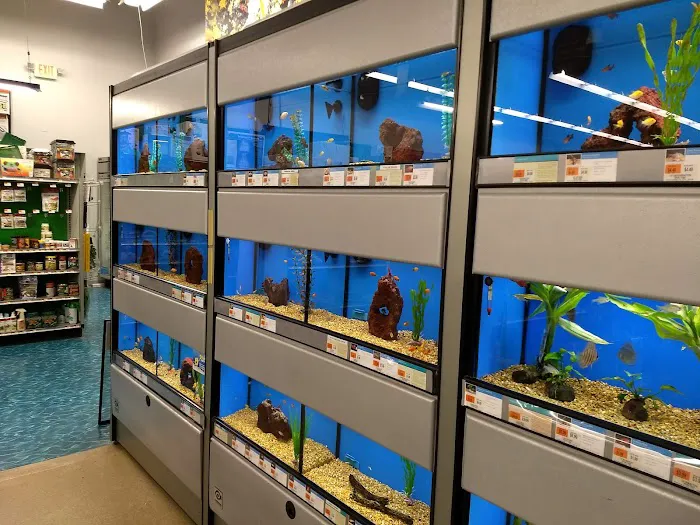 Petco Picture 9