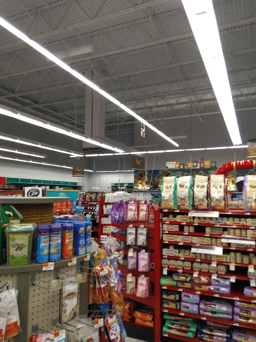 Petco Picture 8