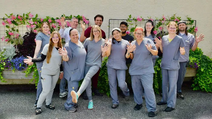 Paoli Vetcare | Main Line Vet & Animal Hospital Picture 1