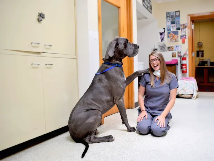 Paoli Vetcare | Main Line Vet & Animal Hospital Picture 3