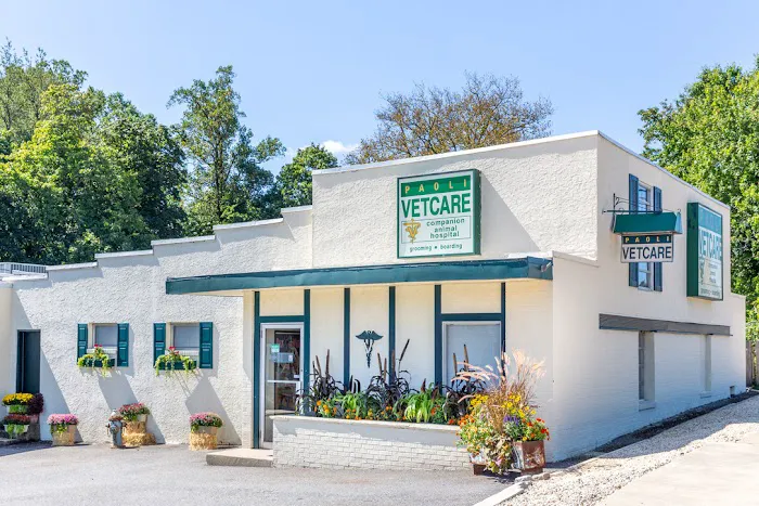Paoli Vetcare | Main Line Vet & Animal Hospital Picture 2