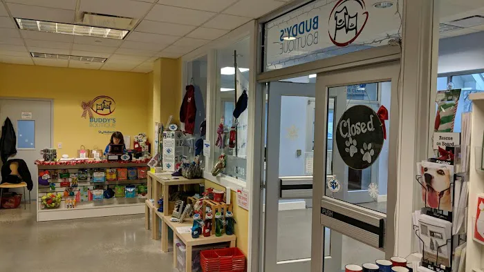 Buddy's Boutique Picture 6