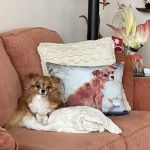 Gateway Animal Hospital