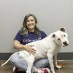 PetMedic Urgent Care Vet Clinic King of Prussia