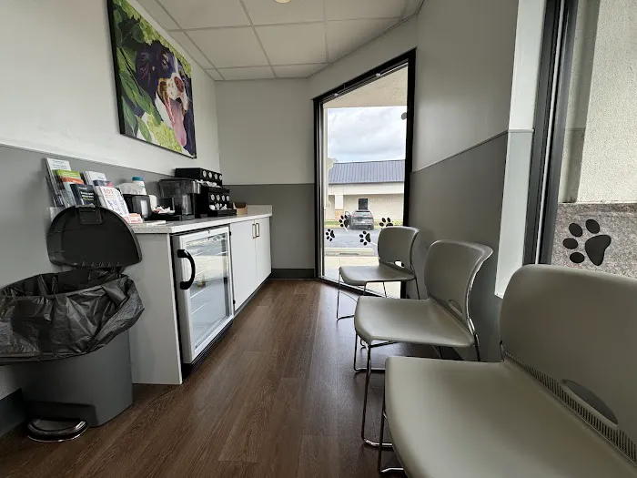 PetMedic Urgent Care Vet Clinic King of Prussia Picture 4