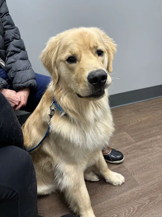 PetMedic Urgent Care Vet Clinic King of Prussia Picture 5