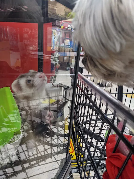 Petco Picture 5