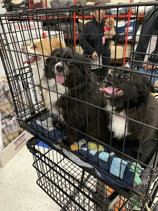 Petco Picture 6