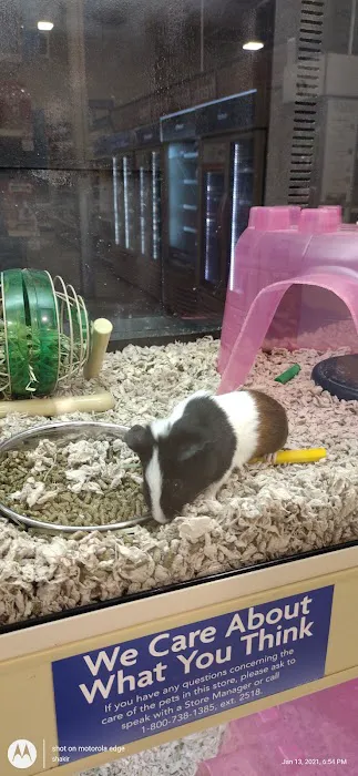 Petco Picture 10