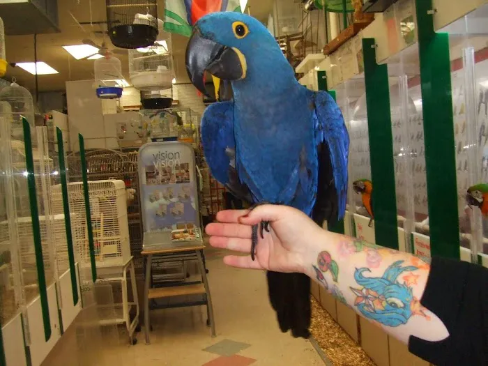 Bird Jungle Picture 6
