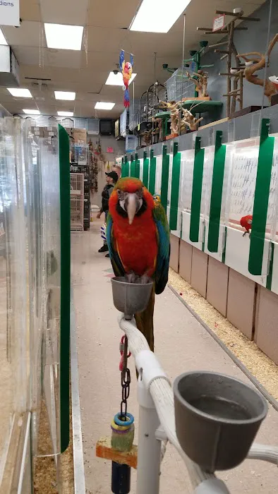 Bird Jungle Picture 9