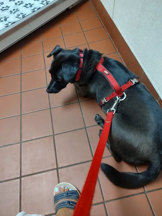 Flowers Mill Veterinary Hospital Picture 10