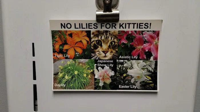 Holland Veterinary Care Picture 9