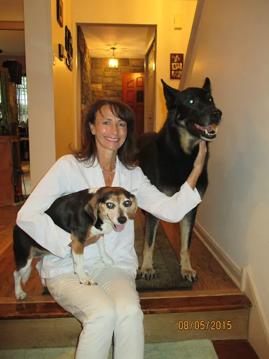 Holland Veterinary Care Picture 10