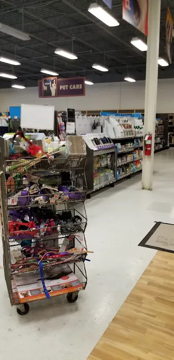 Petco Picture 9