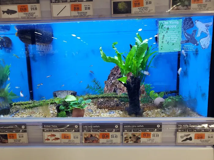 Petco Picture 7