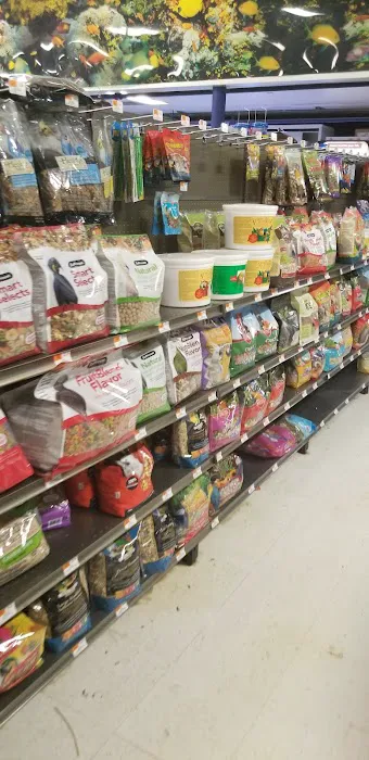 Petco Picture 10