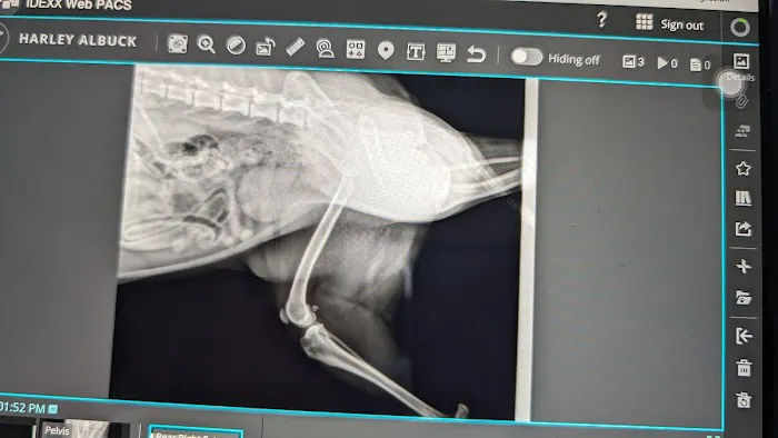 Animal Hospital of Richboro Picture 10