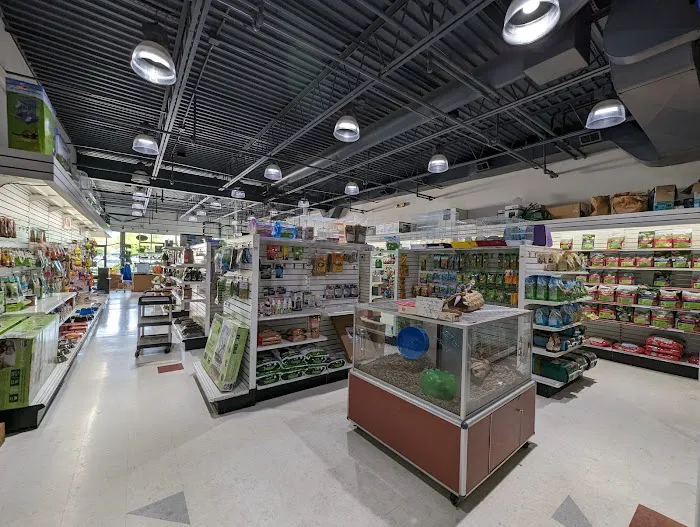 Pets Place II Picture 3