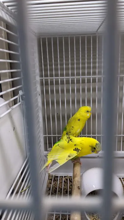 Pets Place II Picture 2