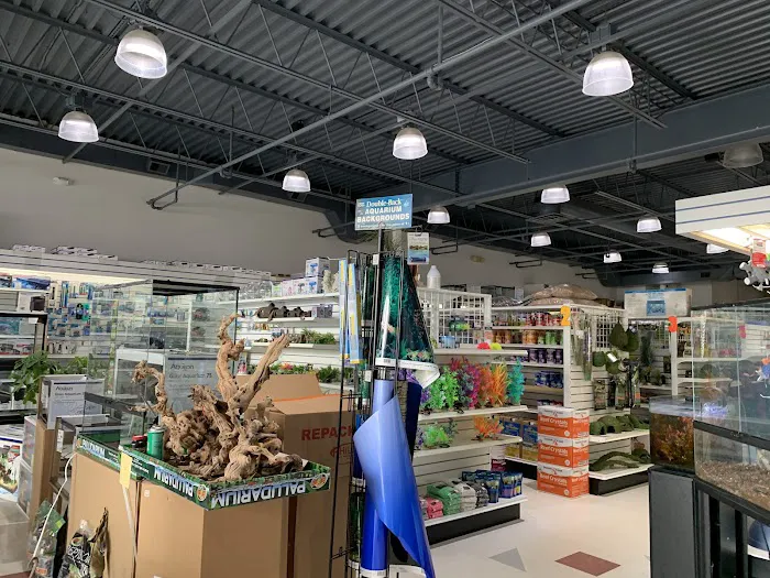 Pets Place II Picture 6