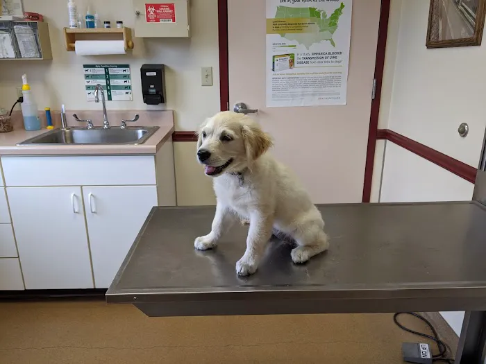 Richboro Veterinary Hospital Picture 9