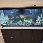 Rockland Aquarium