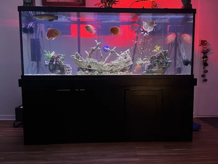 Rockland Aquarium Picture 7