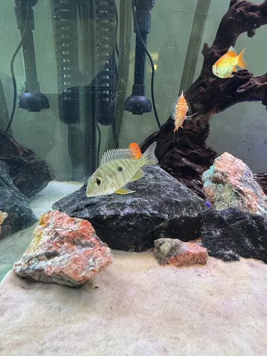 Rockland Aquarium Picture 5