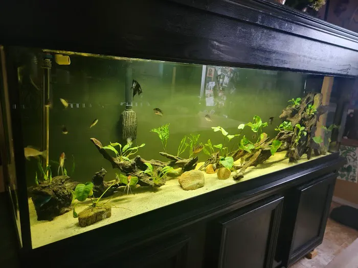 Rockland Aquarium Picture 10
