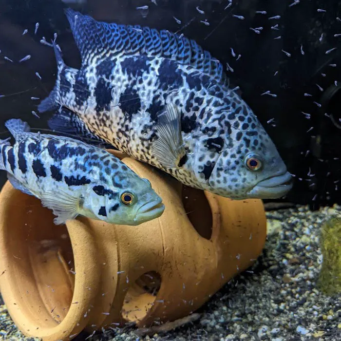 Rockland Aquarium Picture 9