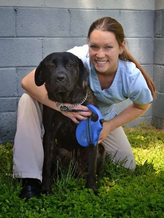 Pet's Best Friend Veterinary Hospital Picture 3