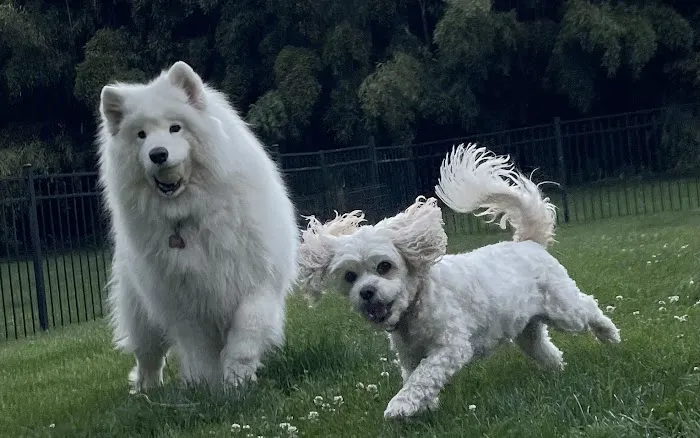 Pet's Best Friend Veterinary Hospital Picture 7