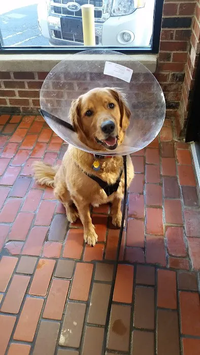 Pet's Best Friend Veterinary Hospital Picture 10