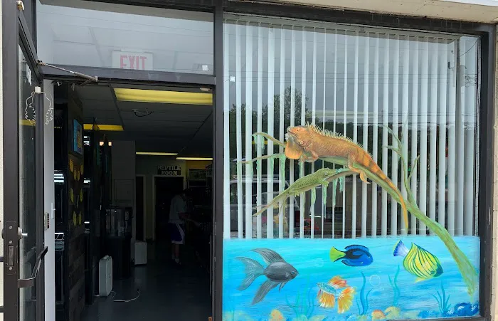 A & R Reptiles and Aquariums Picture 2