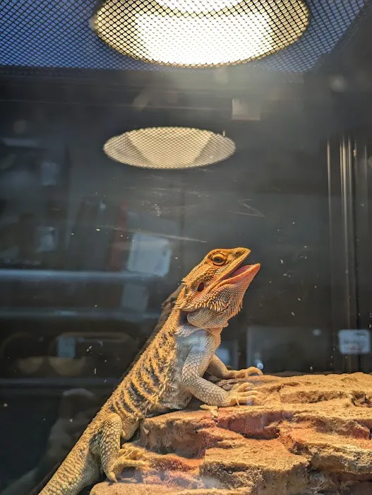 A & R Reptiles and Aquariums Picture 1