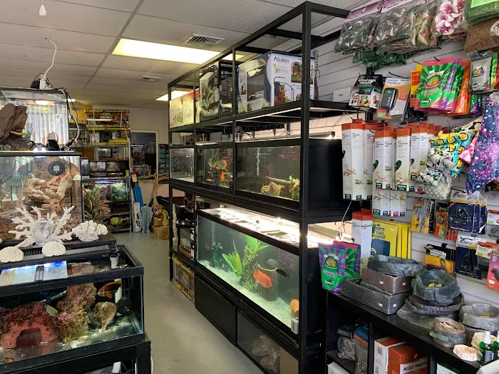 A & R Reptiles and Aquariums Picture 5