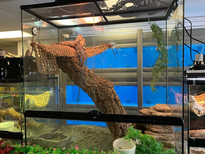 A & R Reptiles and Aquariums Picture 3