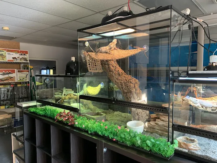 A & R Reptiles and Aquariums Picture 4