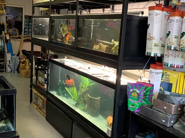 A & R Reptiles and Aquariums Picture 7